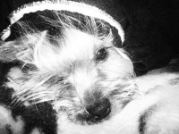 /album/fotogaleria/a20348-104213366270589-100000457775217-110141-7855391-n-jpg/