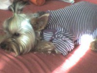 /album/fotogaleria/a20348-104213682937224-100000457775217-110148-2751694-n-jpg/