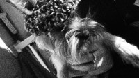 /album/fotogaleria/a20348-104213699603889-100000457775217-110153-870588-n-jpg/