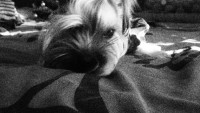 /album/fotogaleria/a20348-104213726270553-100000457775217-110161-1086712-n-jpg/
